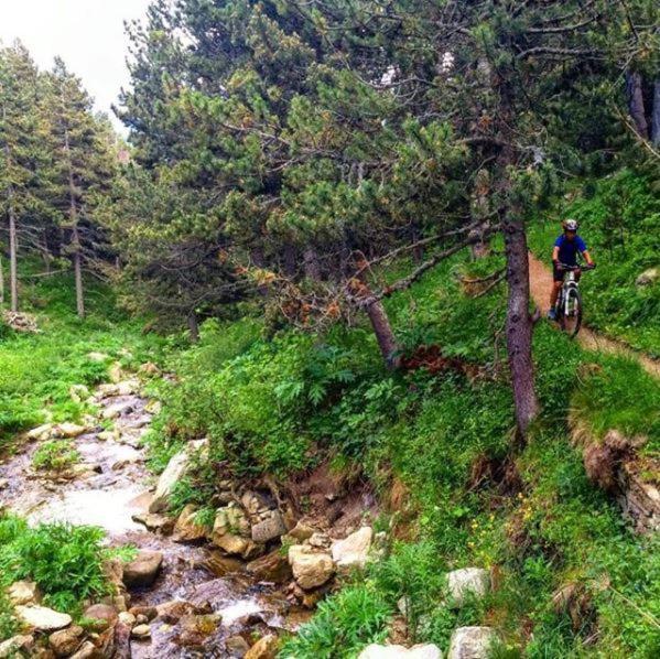 Апартаменты La Pradella Bolquere Pyrenees 2000 Экстерьер фото